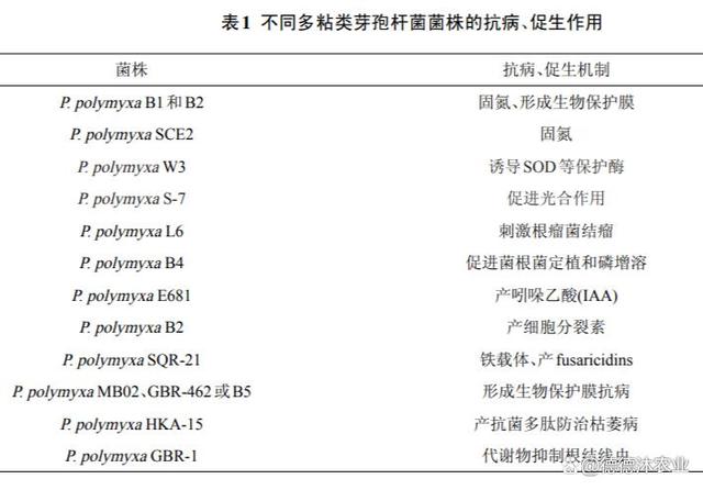 農(nóng)業(yè)生產(chǎn)中常見(jiàn)微生物菌劑功能大全（已登記菌劑）(圖3)