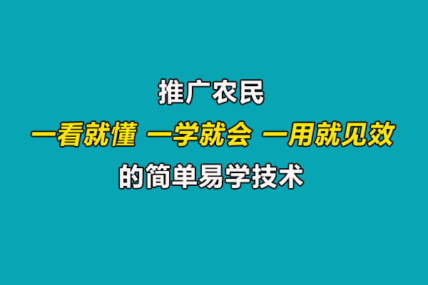 引導(dǎo)農(nóng)民合理施肥用藥,推廣一看就懂、一學(xué)就會(huì)、一用就見(jiàn)效的技術(shù)