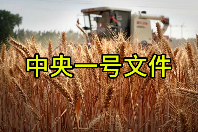 《轉(zhuǎn)發(fā)》老趙說(shuō)農(nóng)資：解讀2024中央一號(hào)文件，肥料生產(chǎn)企業(yè)這樣干